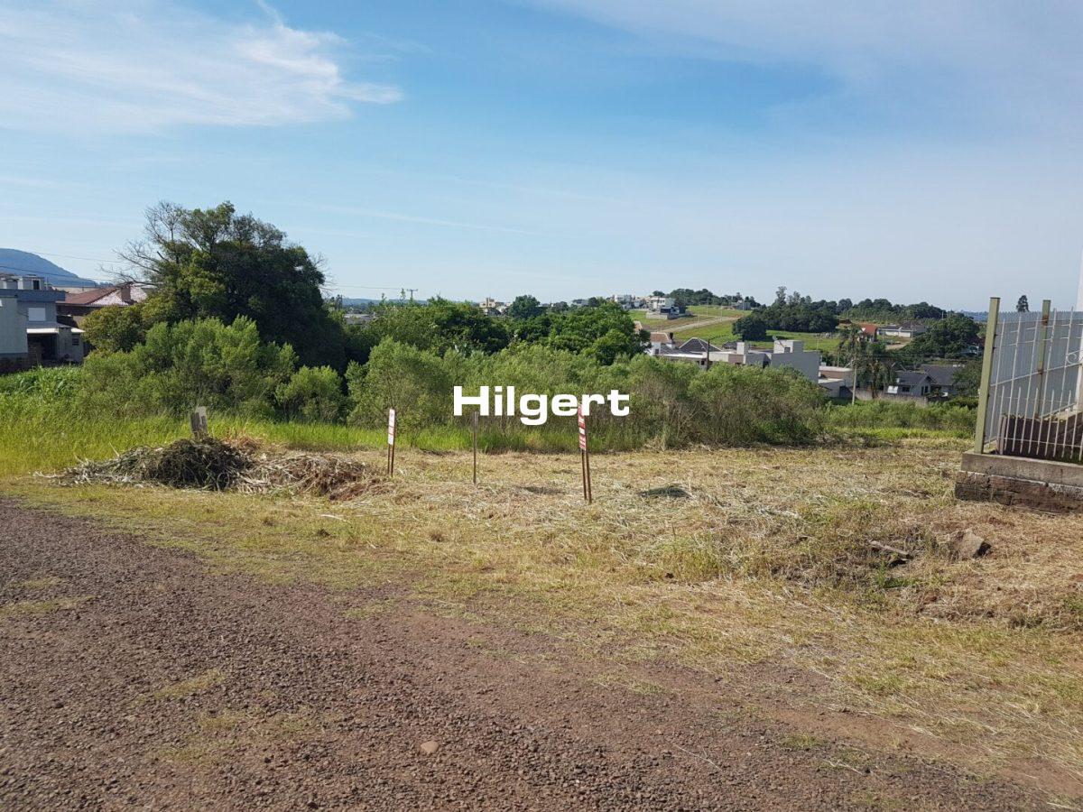 Terreno no Bairro São Caetano