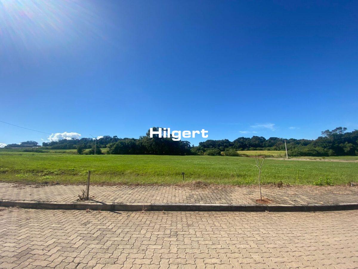 Terreno no Loteamento Colina do Campo, em São Caetano