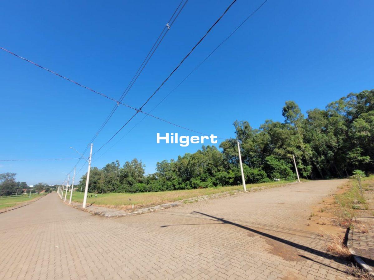 Terreno no Loteamento Colina do Campo, em São Caetano