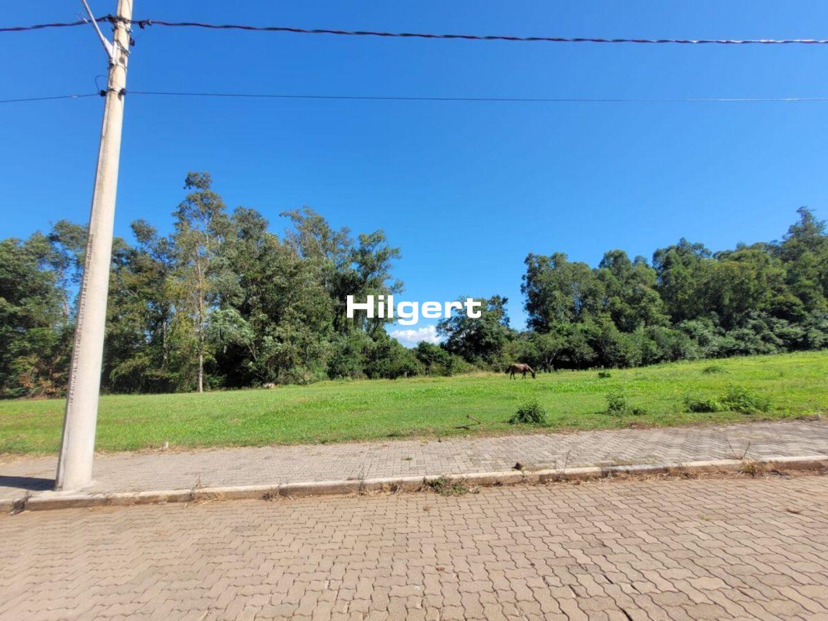 Terreno no Loteamento Colina do Campo, em São Caetano