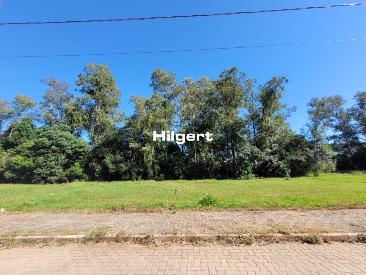 Terreno no Loteamento Colina do Campo, em São Caetano