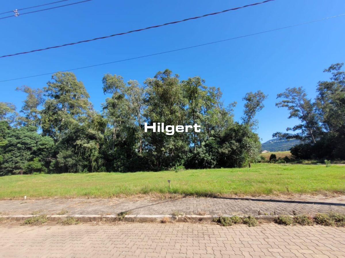 Terreno no Loteamento Colina do Campo, em São Caetano