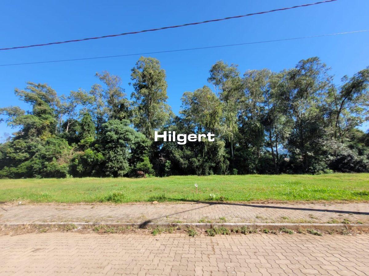 Terreno no Loteamento Colina do Campo, em São Caetano