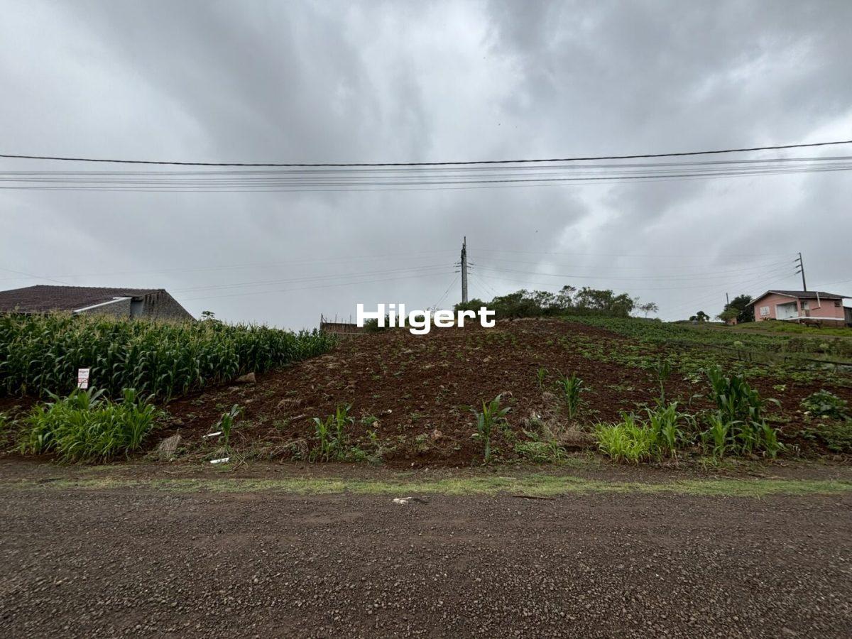 Terreno no Bairro Medianeira