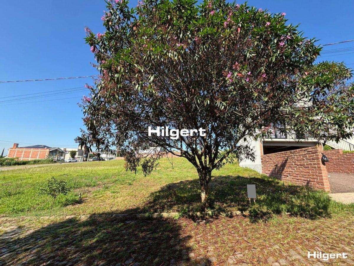 Terreno no Loteamento Residencial Refúgio dos Vanellus – Bairro Bela Vista