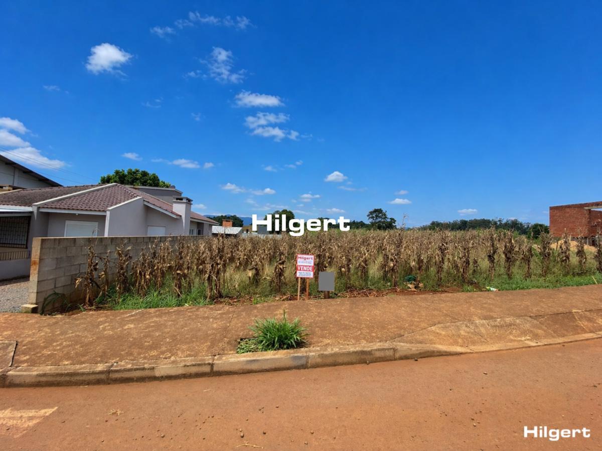 Terreno de 360m² na Rua Dona Rita – Bairro São Caetano