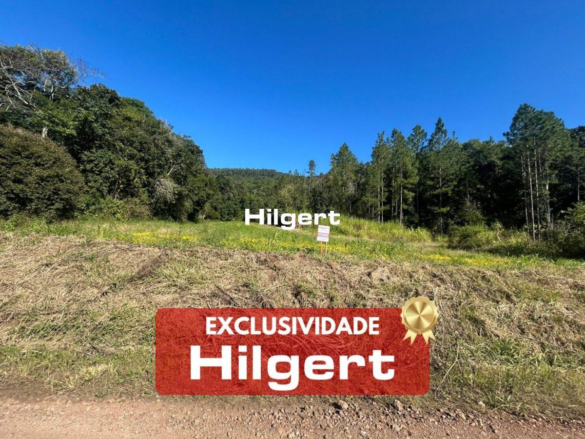 Área de terras com 4ha