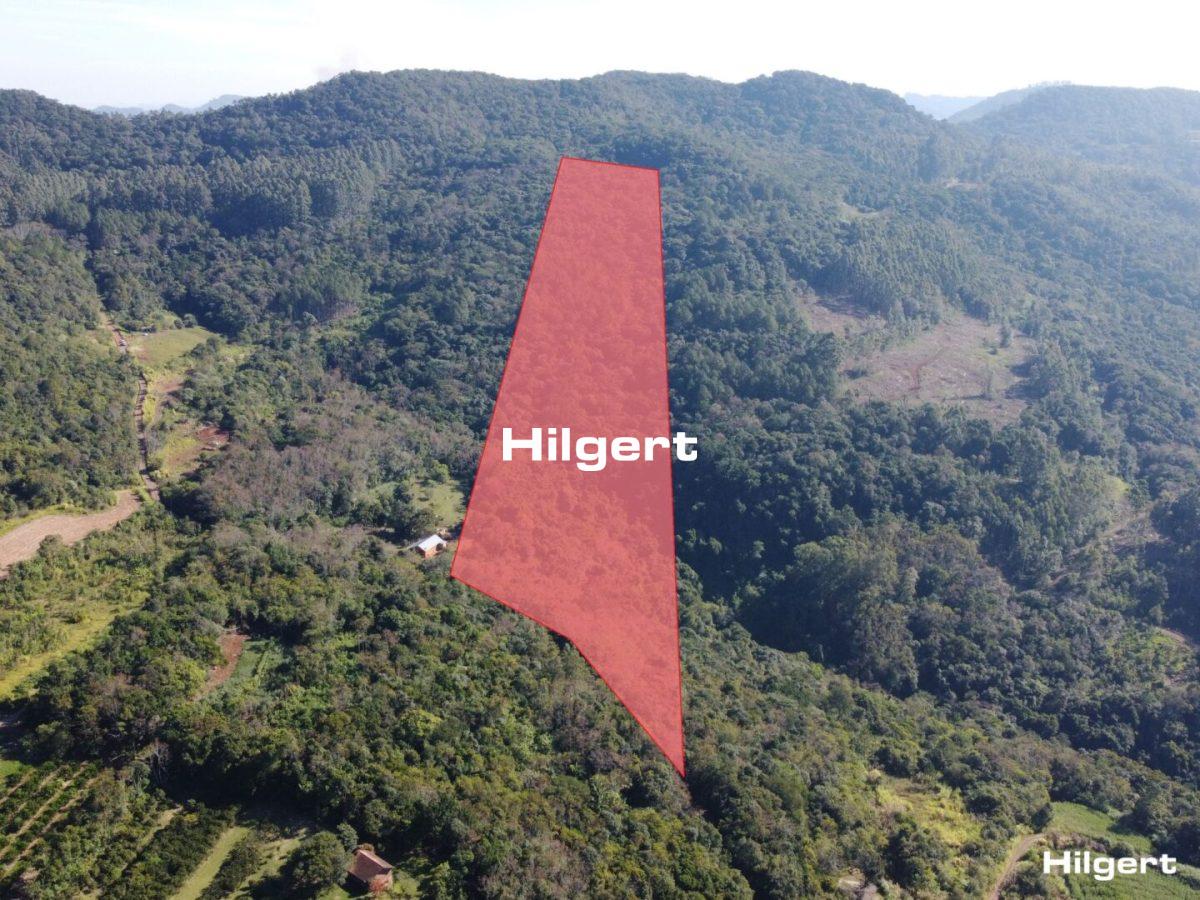 Área de terras com 19,1ha